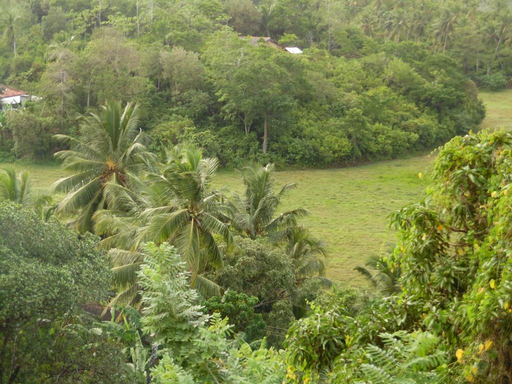 Mount View Villa Resort Mirissa Esterno foto