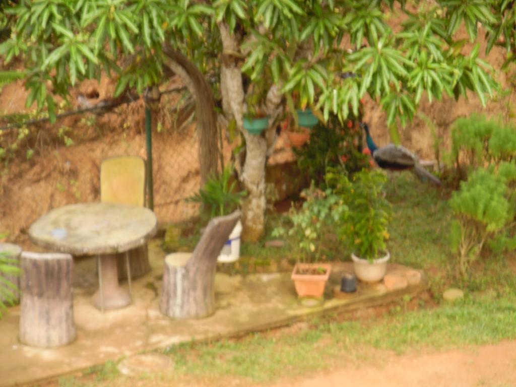 Mount View Villa Resort Mirissa Esterno foto
