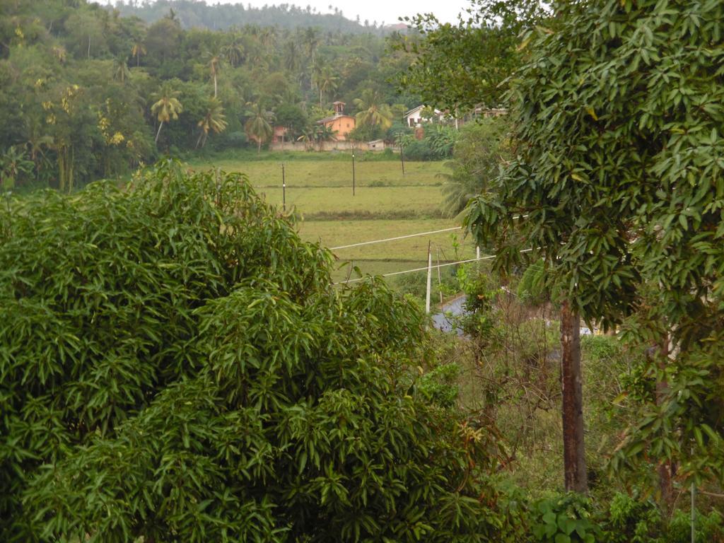 Mount View Villa Resort Mirissa Esterno foto