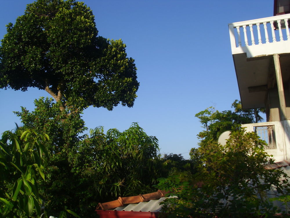 Mount View Villa Resort Mirissa Esterno foto